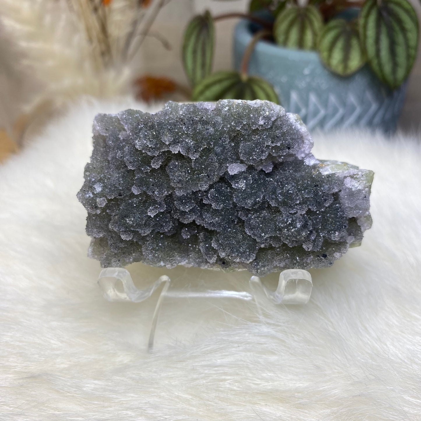 Amethyst Cluster