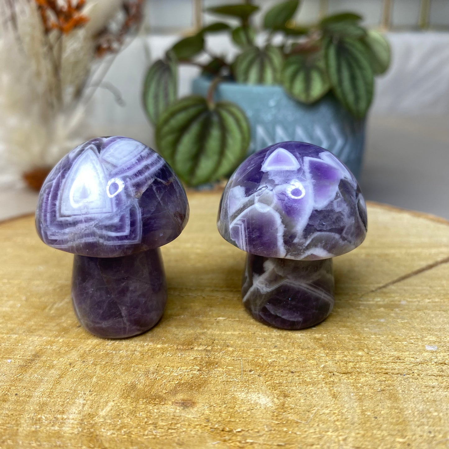 Chevron Amethyst Pilz Carving