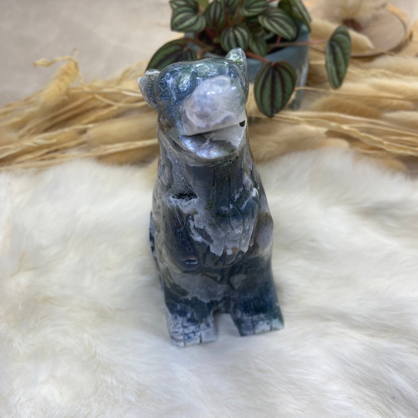 Druzy Moosachat Wolf Carving